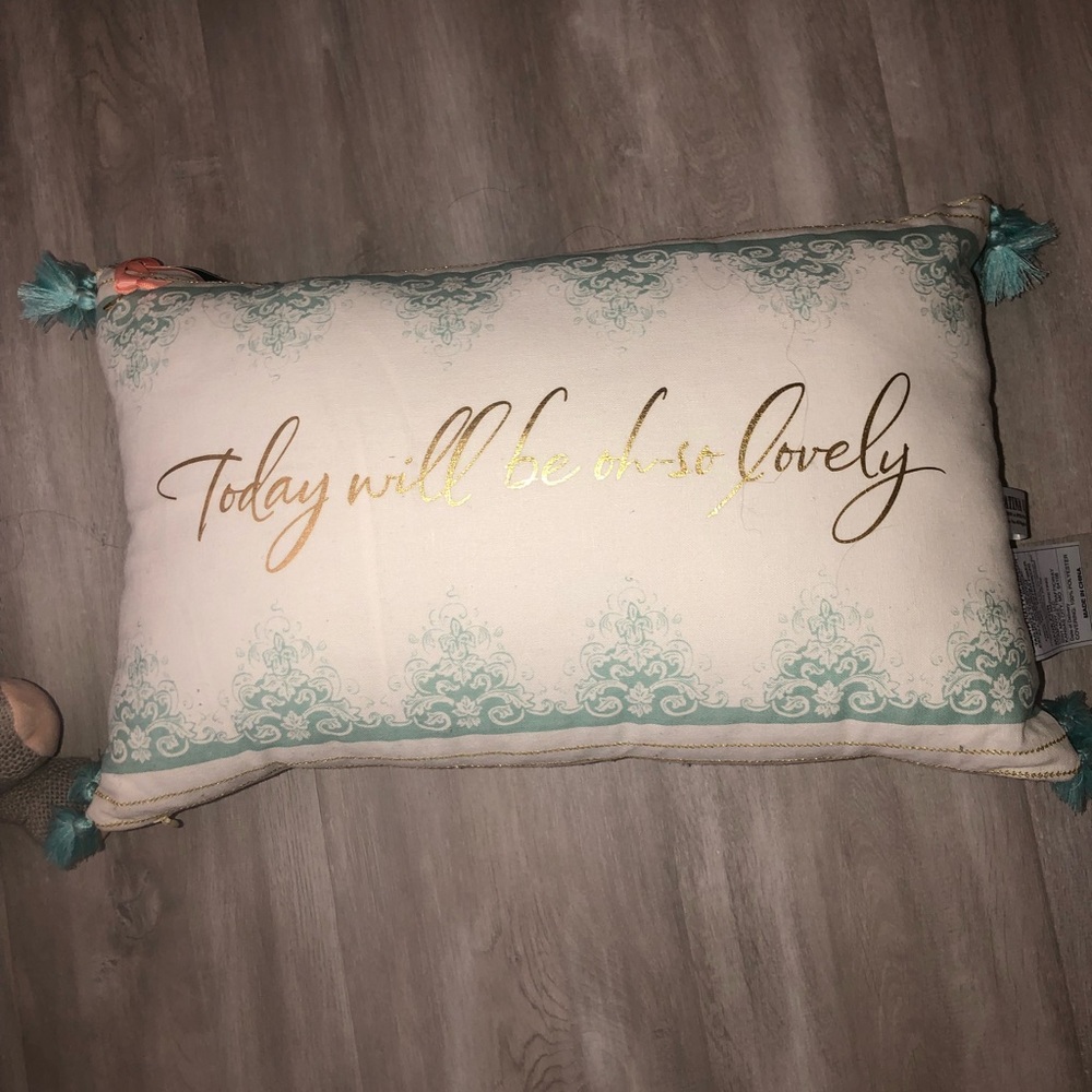 BRAND NEW WITH TAGS THROW PILLOW